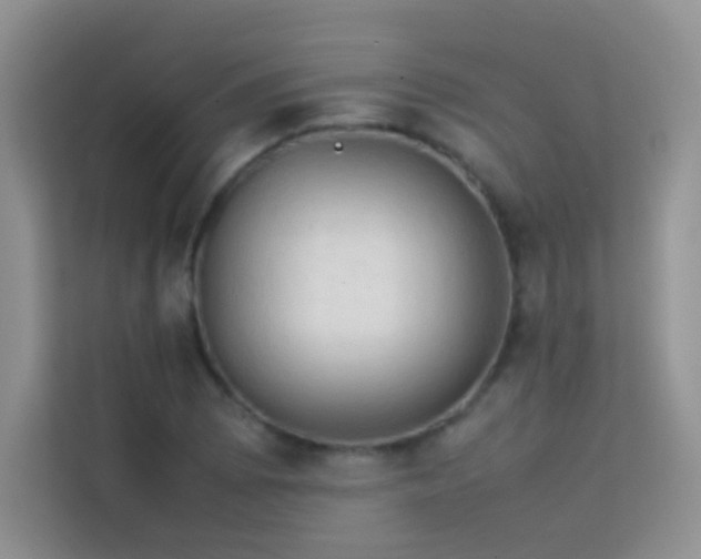 X0000114091073200910051420
