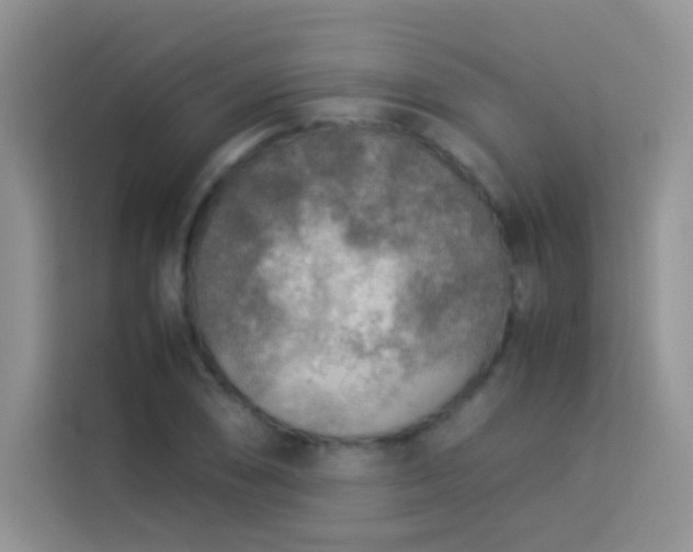 X0000114091074200910051420
