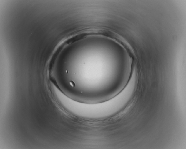 X0000114091075200910051420