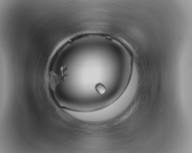 X0000114091077200910051420