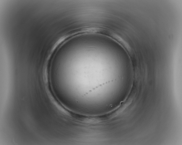 X0000114091083200910051420