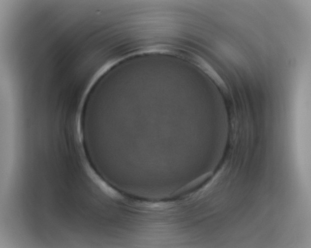 X0000114091084200910051420