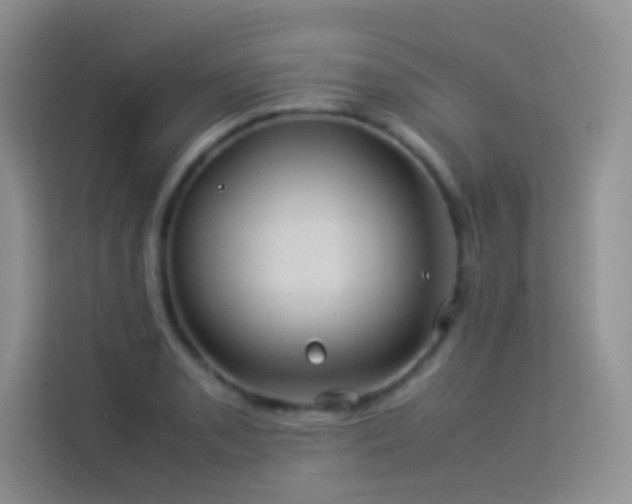 X0000114091085200910051420