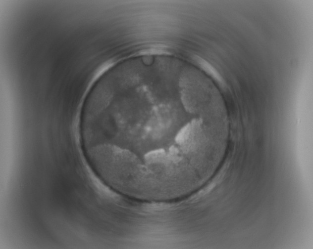 X0000114091087200910051420