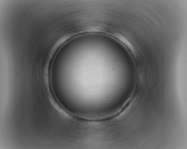 X0000114091088200910051420