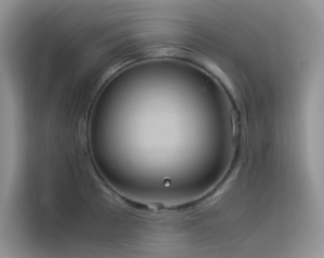 X0000114091089200910051420