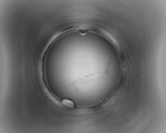 X0000114091091200910051420