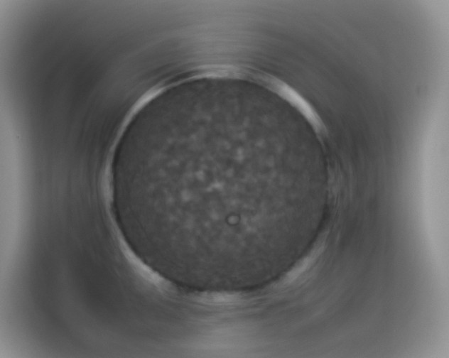 X0000114091095200910051420