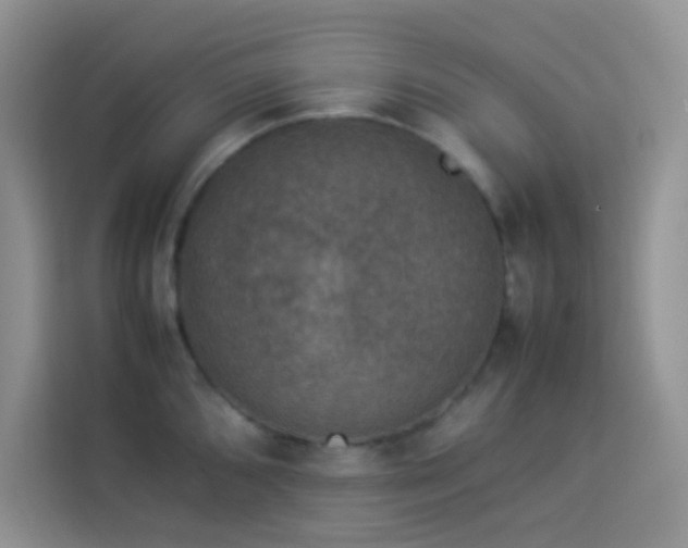 X0000114091096200910051420
