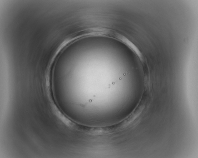 X0000114091099200910051420
