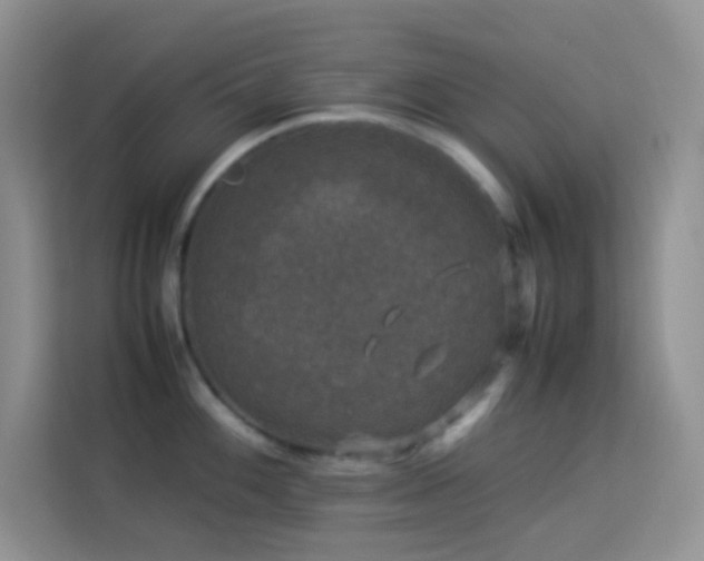 X0000114091100200910051420