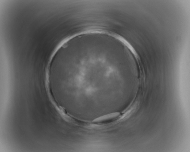 X0000114091101200910051420