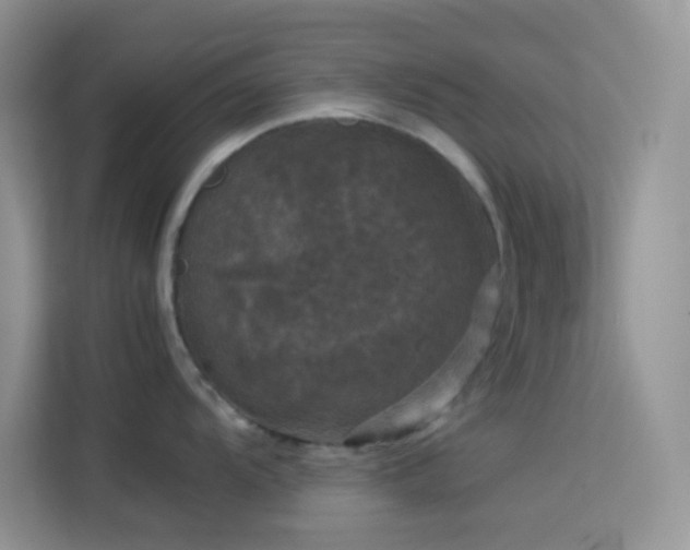 X0000114091104200910051420