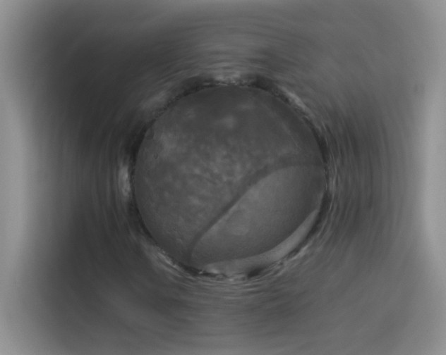 X0000114091106200910051419