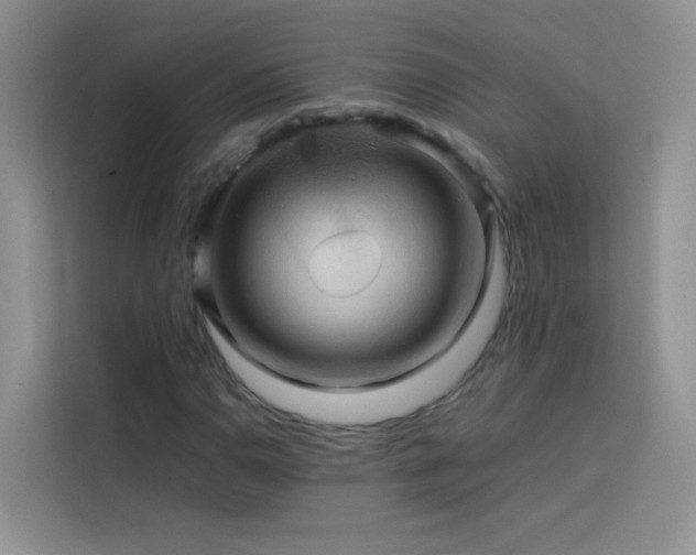 X0000114091110200910051419