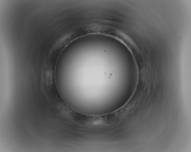 X0000114091111200910051419