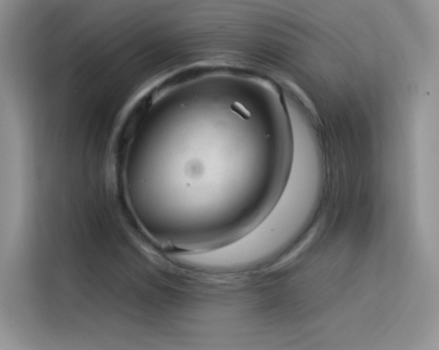 X0000114091114200910051419