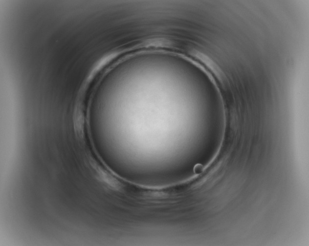 X0000114091115200910051419