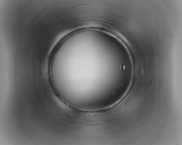 X0000114091116200910051419