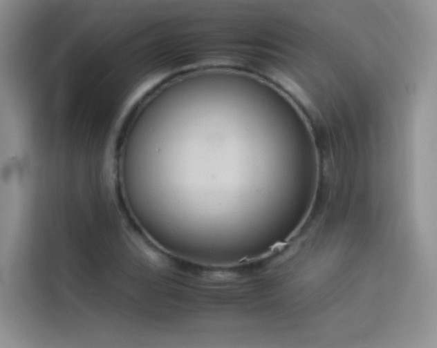 X0000114091119200910051419