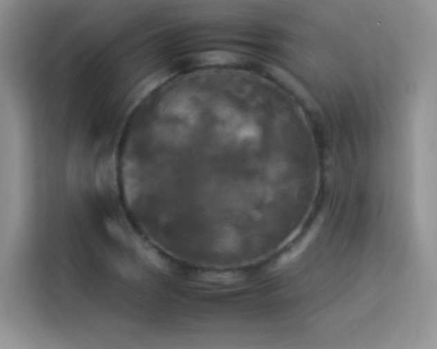 X0000114091121200910051420