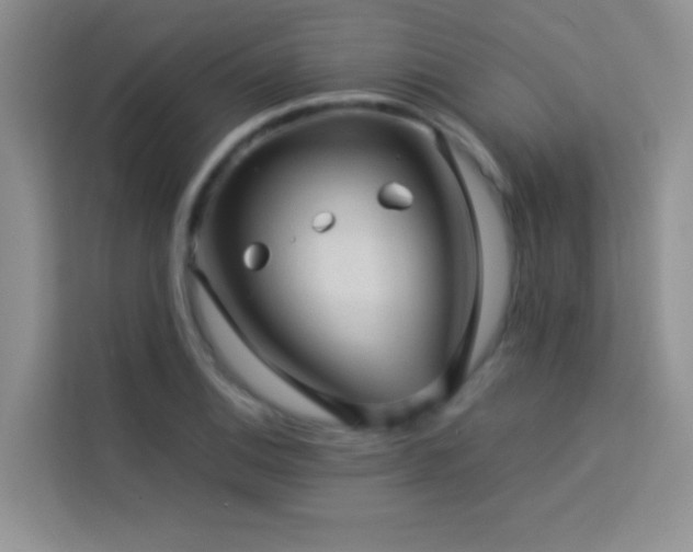 X0000114091124200910051420