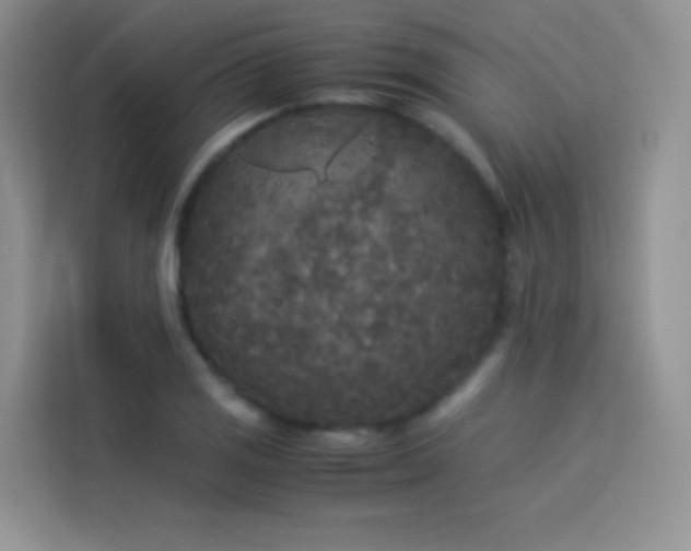 X0000114091125200910051420