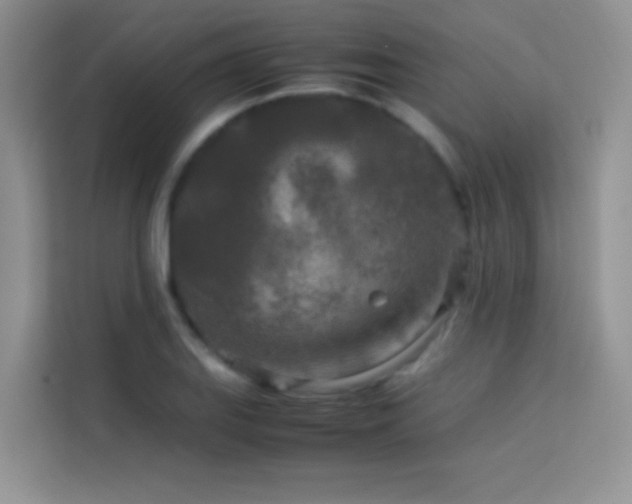 X0000114091127200910051420