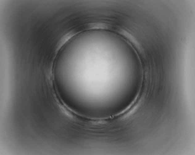 X0000114091129200910051420