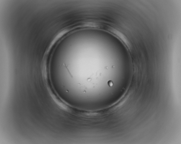 X0000114091131200910051420