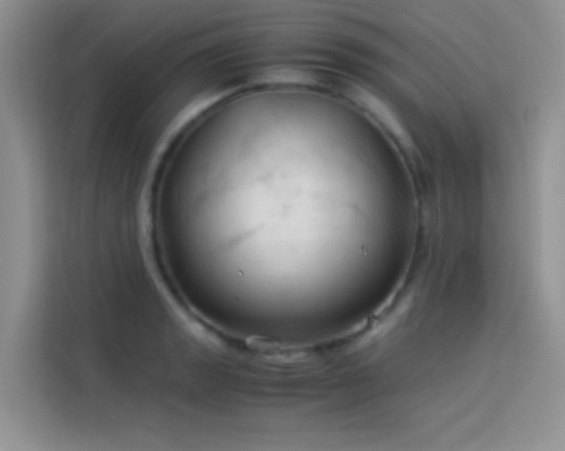 X0000114091133200910051420