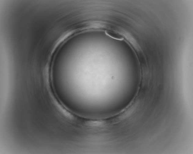 X0000114091134200910051420