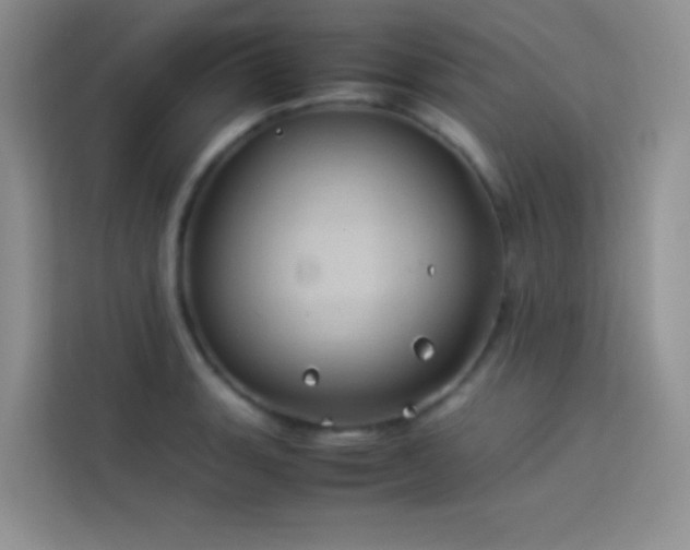 X0000114091135200910051420