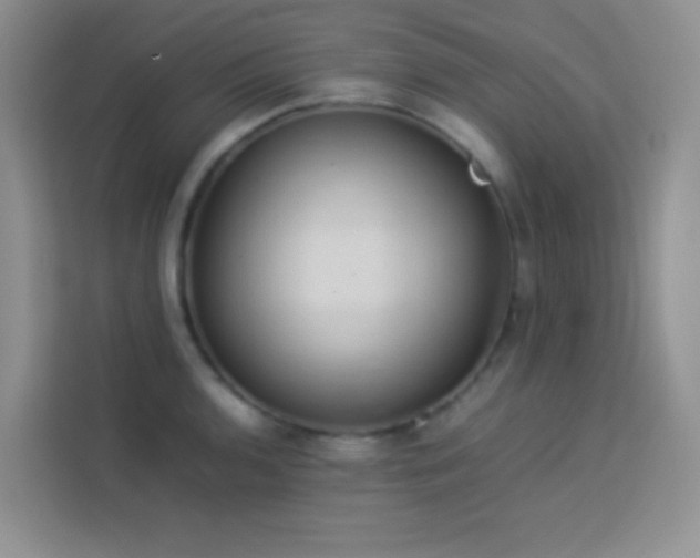 X0000114091136200910051420