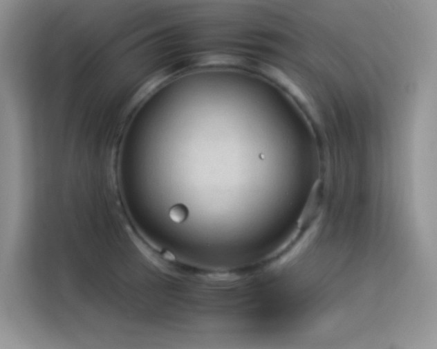 X0000114091137200910051420