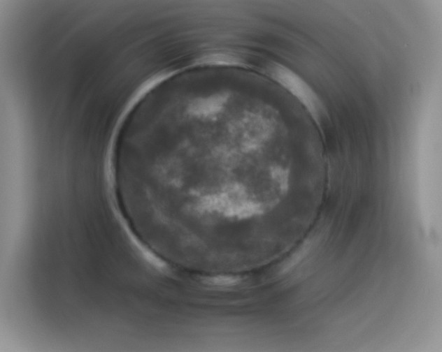 X0000114091141200910051420