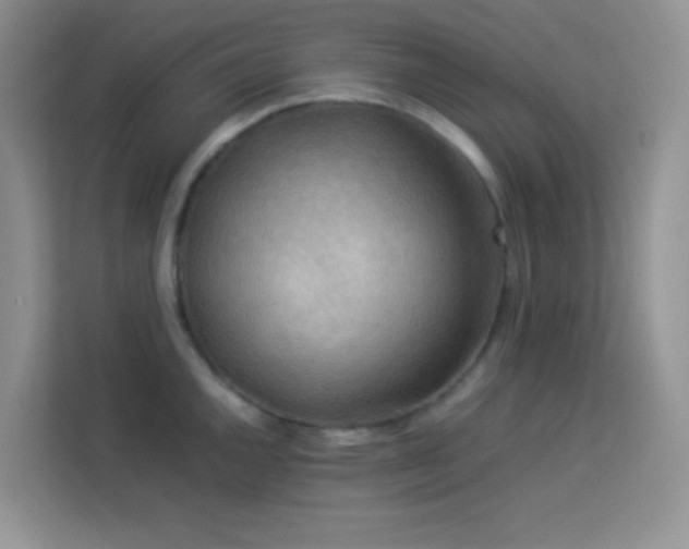 X0000114091144200910051420