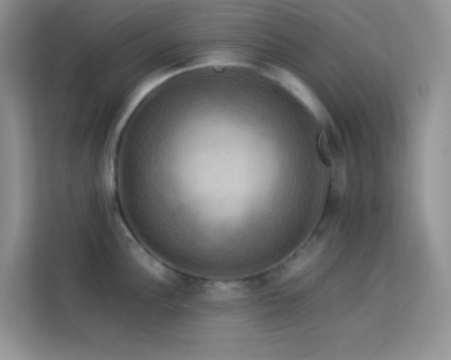 X0000114091148200910051420