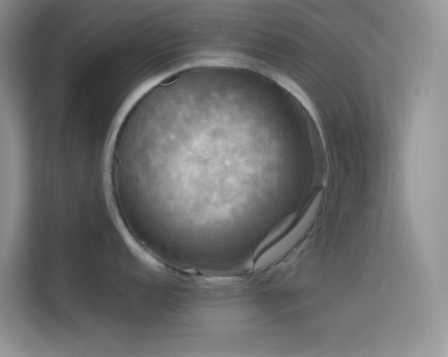 X0000114091152200910051420