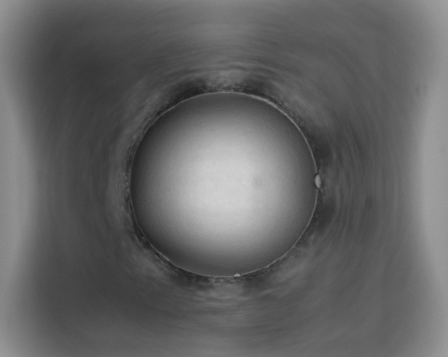 X0000114091153200910051419