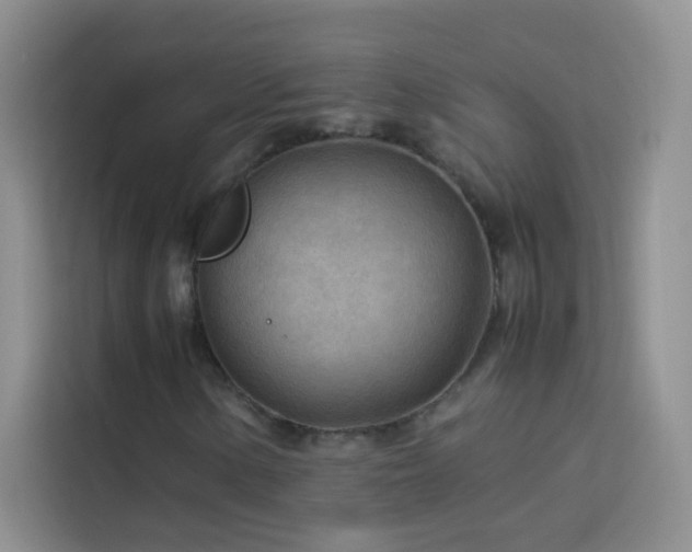 X0000114091154200910051419