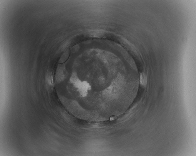 X0000114091155200910051419