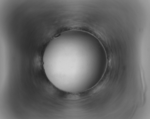 X0000114091156200910051419