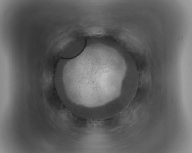 X0000114091157200910051419