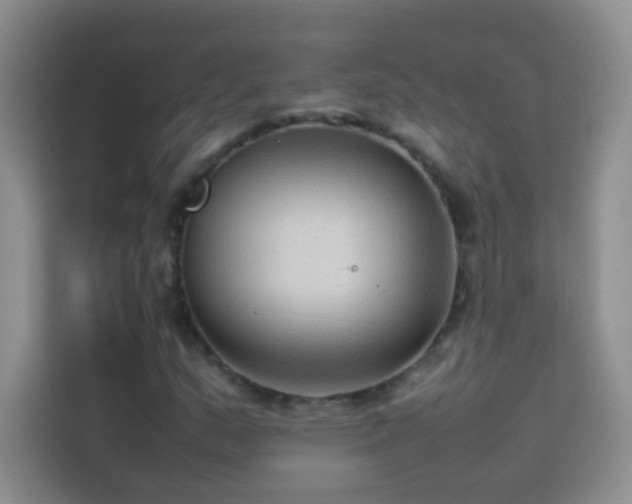 X0000114091159200910051419