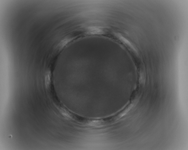 X0000114091161200910051419