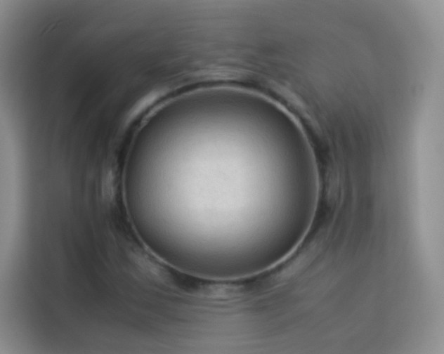 X0000114091163200910051419