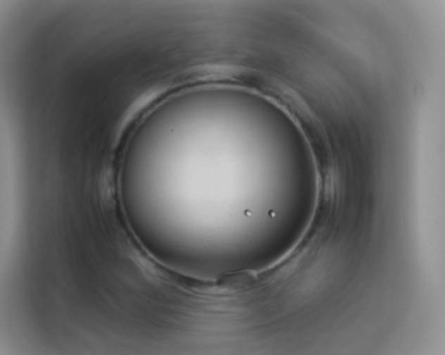 X0000114091164200910051419