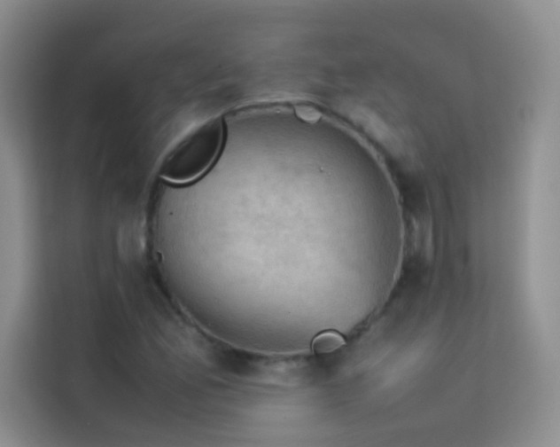 X0000114091165200910051419