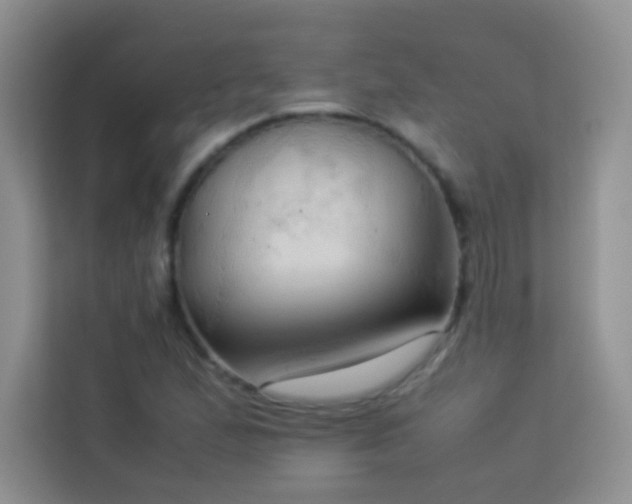 X0000114091167200910051419